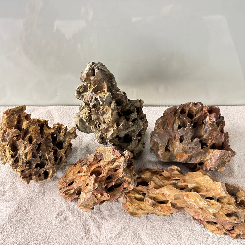 気孔石Mサイズ おまかせ5Kg（kgあたり596円)（60cm水槽） | 流木専門