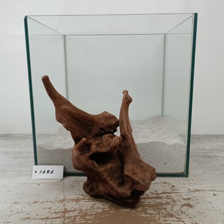 CATEGORY Sサイズ | 流木専門店のアクアリバー/アクアリウム/グリーン