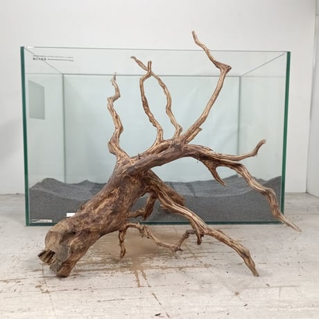 流木　大型 インテリア CATEGORY ブランチ系流木 | 流木専門店のアクアリバー/アクアリウム