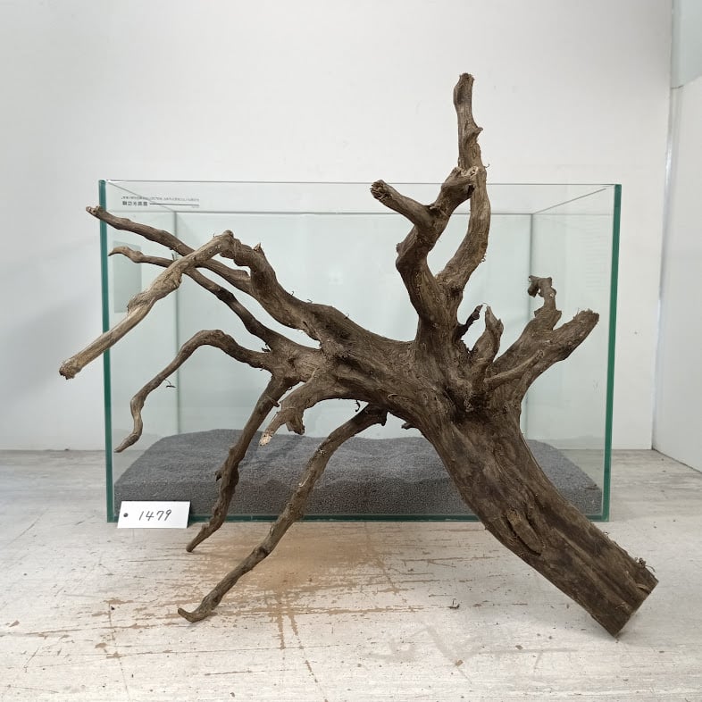 【流木2個セット】手渡し　大型流木 流木2個セット】手渡し 大型流木