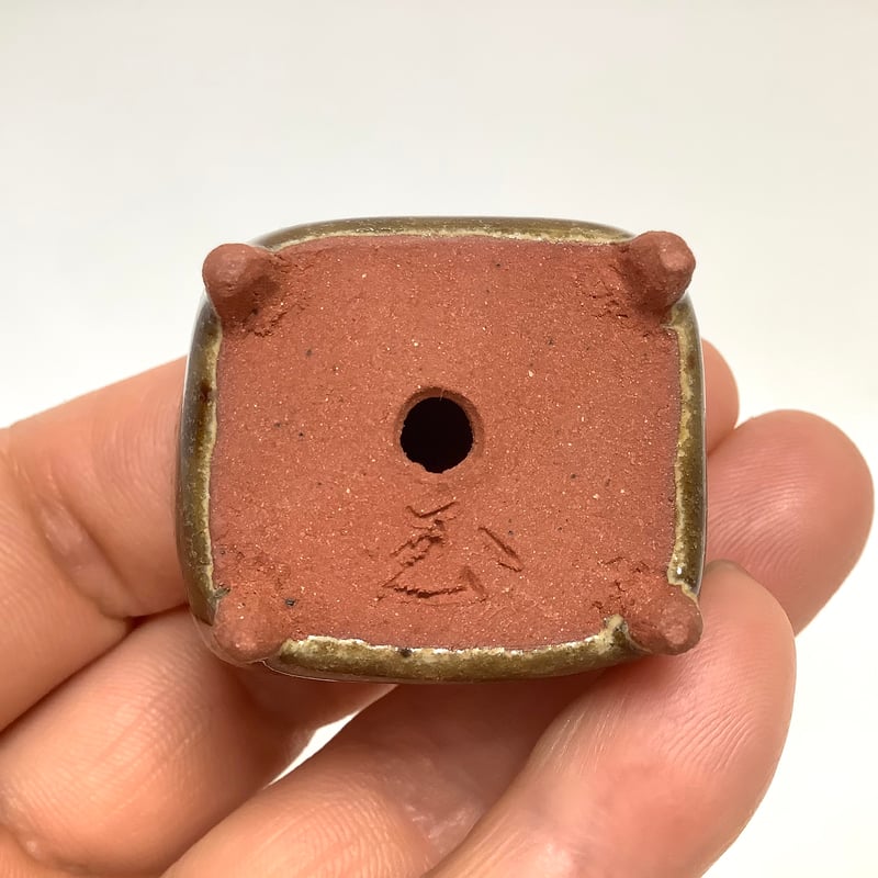 在銘 盆栽鉢 飴釉 長方鉢 小品盆栽鉢 約15cm 美品 ミニ盆栽鉢 玉木啓子造 No.50 飴釉長方鉢 | 流木専門店のアクアリバー