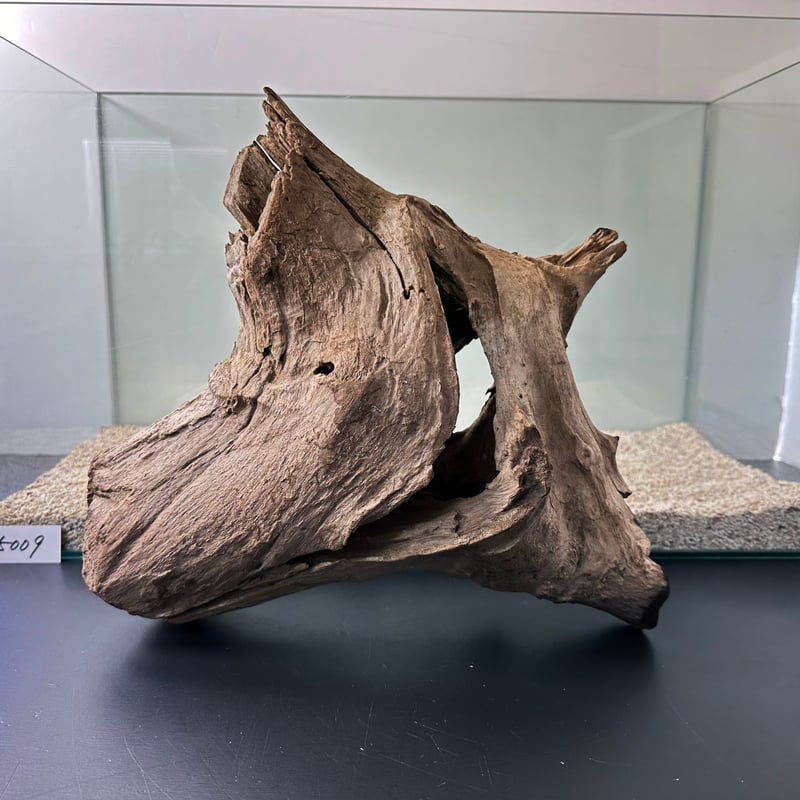 【希少／レア】流木　インテリア　置物 楽天市場】変形 レア 流木/大型 特大 流木 置物 玄関 木 インテリア