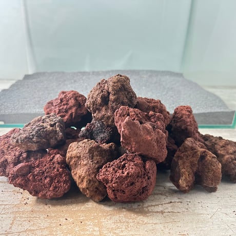 CATEGORY 流木（全種類） | 流木専門店のアクアリバー/アクアリウム