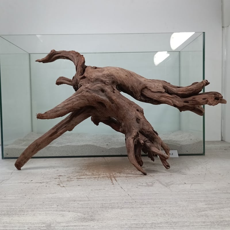 自然木 天然木 木根瘤造形 木根工芸 オブジェ 自然木 天然木 木根瘤造形 木根工芸 オブジェ