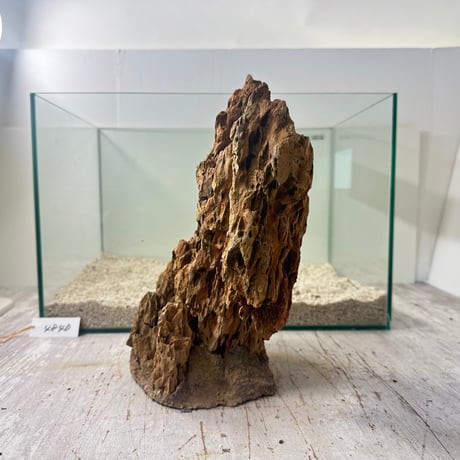 気孔石山（美型） 一点物の水槽オブジェ No. 4840  (45cm水槽)(W約26cm/H約29cm)