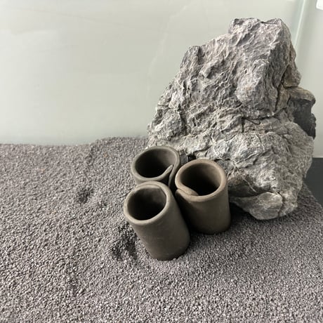 CATEGORY お魚シェルター | 流木専門店のアクアリバー