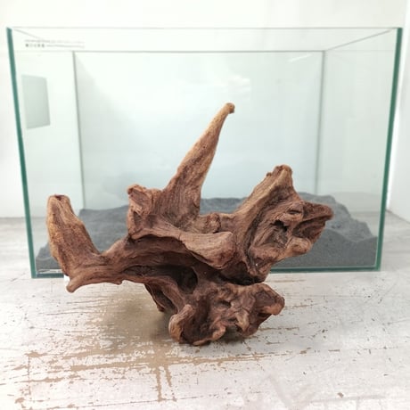 ITEM | 流木専門店のアクアリバー/アクアリウム/グリーンインテリア