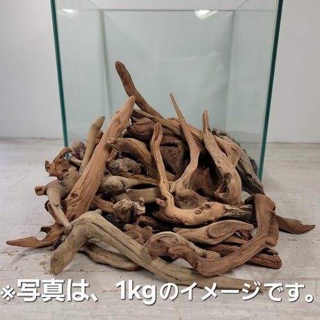 ITEM | 流木専門店のアクアリバー/アクアリウム/グリーンインテリア