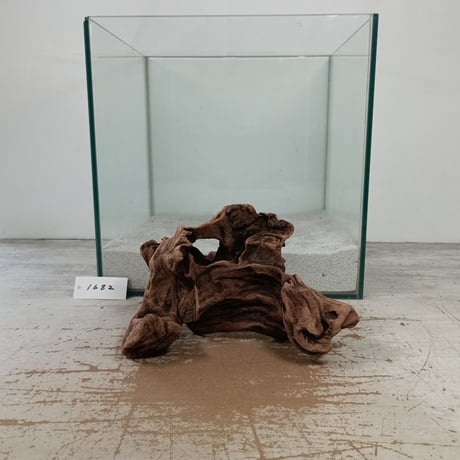 CATEGORY Sサイズ | 流木専門店のアクアリバー/アクアリウム/グリーン