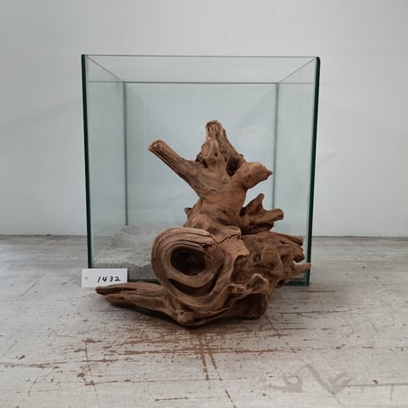 CATEGORY Mサイズ | 流木専門店のアクアリバー/アクアリウム