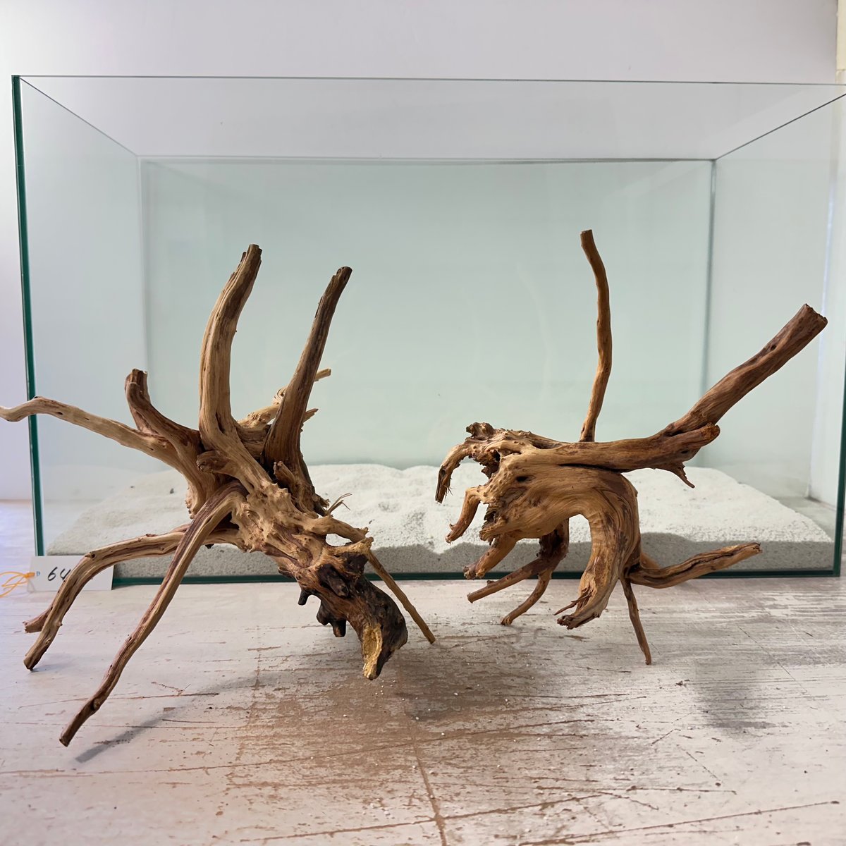 XM-363 ブランチウッド 流木 マシンガンウッド アクアリウム 沈水確認