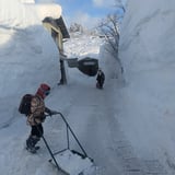 雪室熟成珈琲 こしゃる
