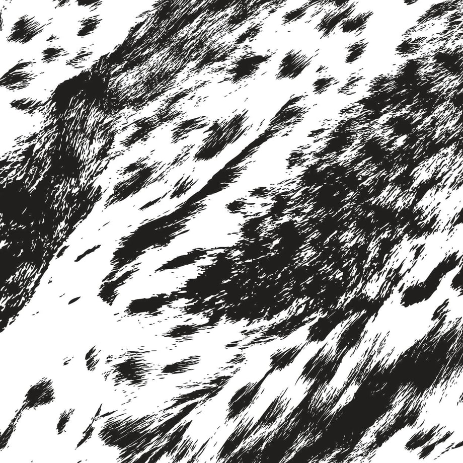57848838a458c03812001196