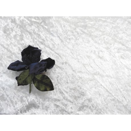 青い薔薇のコサージュ･821K/D-due/Fサイズ