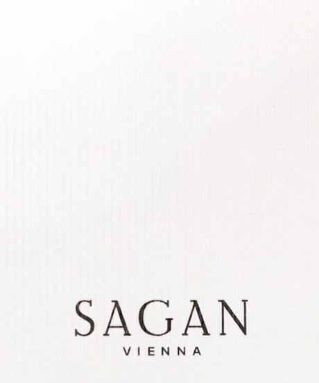 SAGANクラッチバッグ（ポーチ）