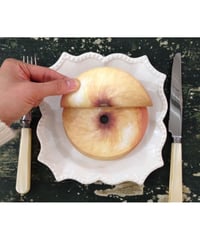 Bagel plane Memo
