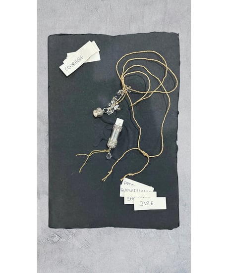【残り僅か】nina des criquets/Jewelry Box Necklace with Silver 352479/シルバー