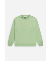 CLOSED Men's/ｵｰｶﾞﾆｯｸ・ﾋﾟｸﾞﾒﾝﾄ/Mint green