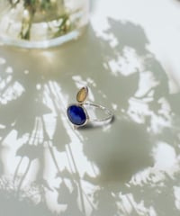 【残り僅か】nina des criquets/Tanzanite & Opal ring/4sr-13