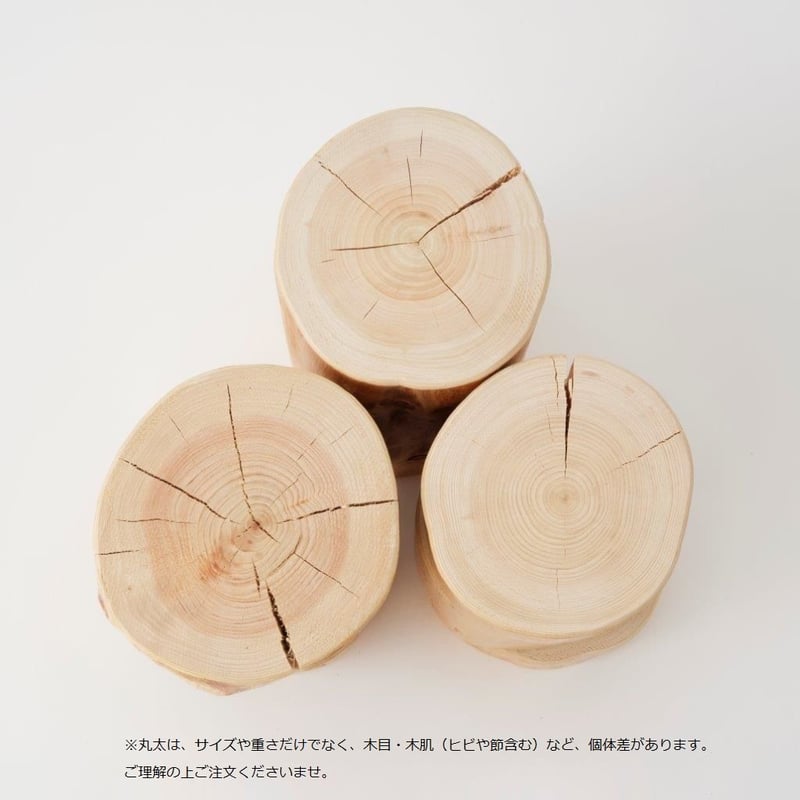 丸太 XS | more trees store【JP】 丸太 XS | more trees store【JP】
