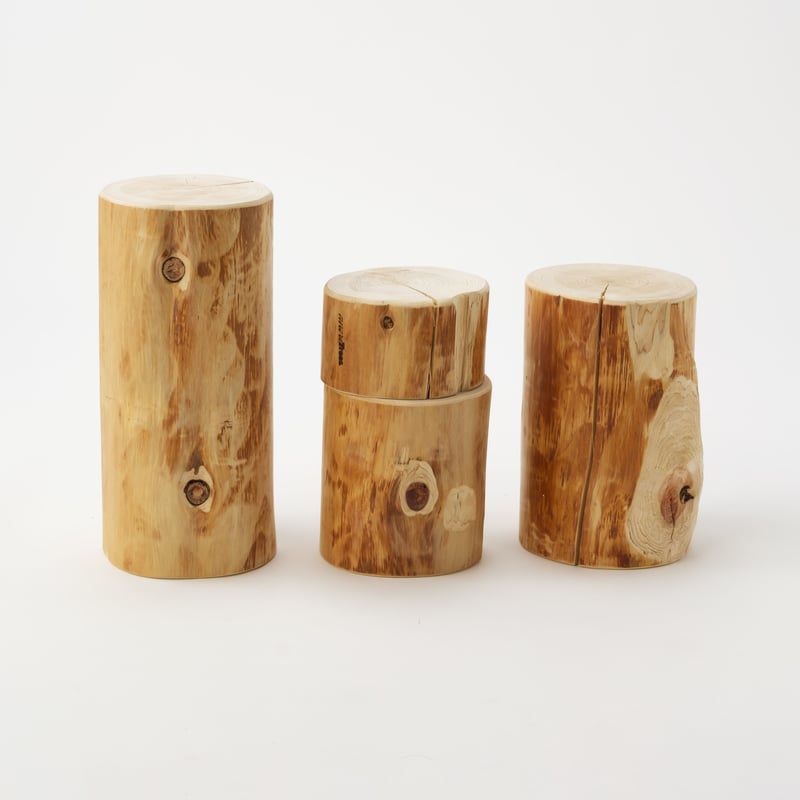 丸太 M | more trees store【JP】