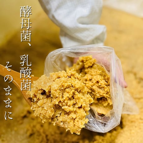 【秘蔵掘り出しみそ】手仕事量り売り500g～