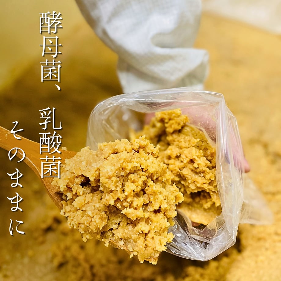 67ea232bef730a3283ebf78d