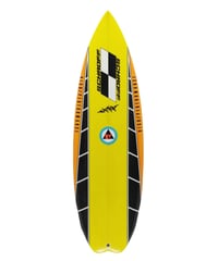 5'4" BLASTER   "Wendy"  Air brushed & Hand shaped by Peter Schroff