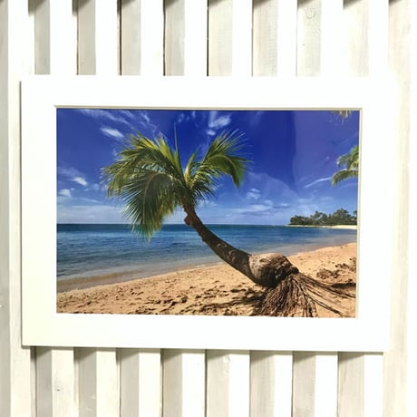 ISLANDER/アイランダーPhotography写真 『Love The Island 』2Lサイズ