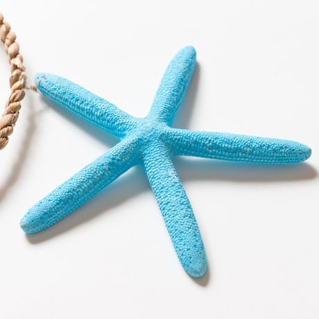 SoHa LIVING/Blue Starfish Garland Strand/スターフィッシュ壁掛けオーナメント
