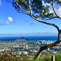 ISLANDER/アイランダーPhotography写真 『Scenery Of Waikiki 』A4サイズ