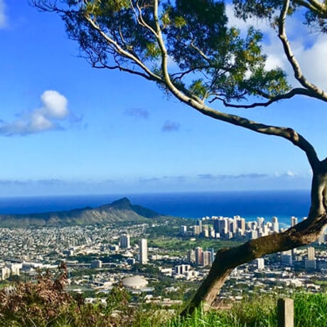 ISLANDER/アイランダーPhotography写真 『Scenery Of Waikiki 』A4サイズ