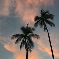 ISLANDER/アイランダーPhotography写真 『Breeze 』A4サイズ