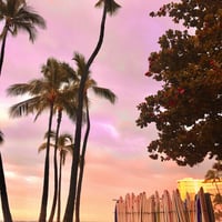 ISLANDER/アイランダーPhotography写真 『Coral Beach 』A4サイズ