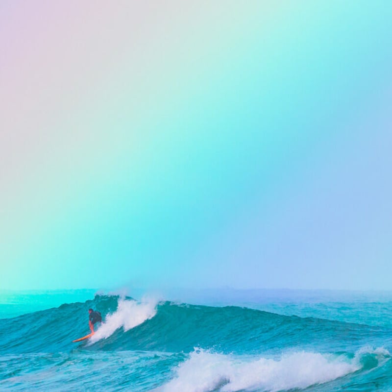 Jess Loiterton × ISLANDER Hawaiian Metal Print