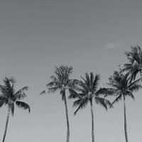 ISLANDER/アイランダーPhotography写真 『Spread The Aloha 』2Lサイズ