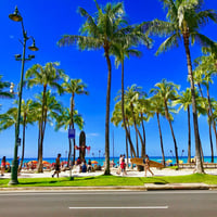 ISLANDER/アイランダーPhotography写真 『Hello, Waikiki 』2Lサイズ