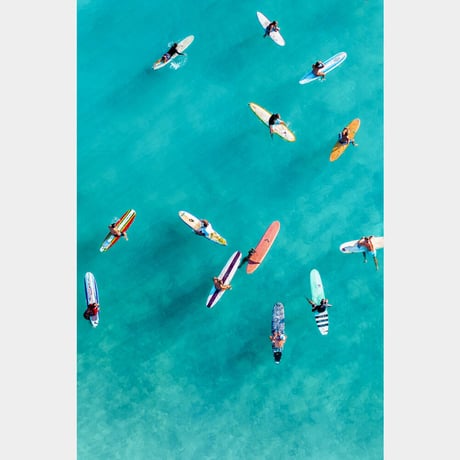 Jess Loiterton × ISLANDER Hawaiian Metal Print Art『The Board Meeting』
