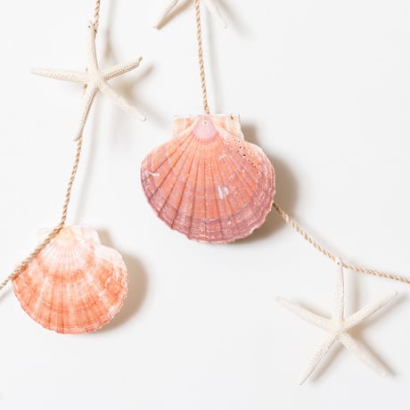 SoHa LIVING/White Star Garland /貝殻壁掛けオーナメント