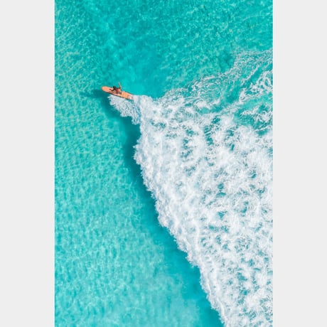 Jess Loiterton × ISLANDER Hawaiian Metal Print Art『Above Paradise』
