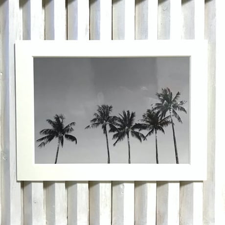 ISLANDER/アイランダーPhotography写真 『Spread The Aloha 』2Lサイズ