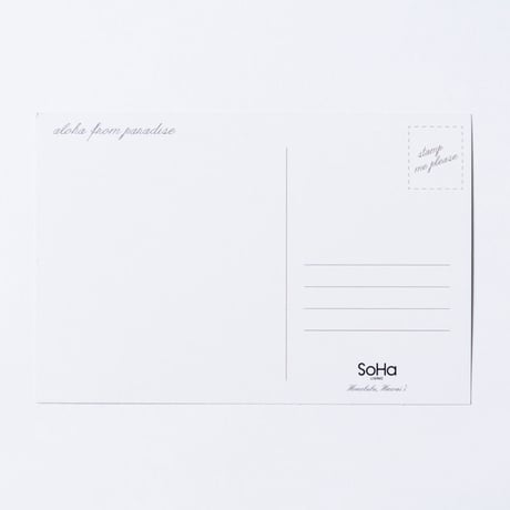 SoHa LIVING/パイナップルポストカード3枚セット/絵葉書