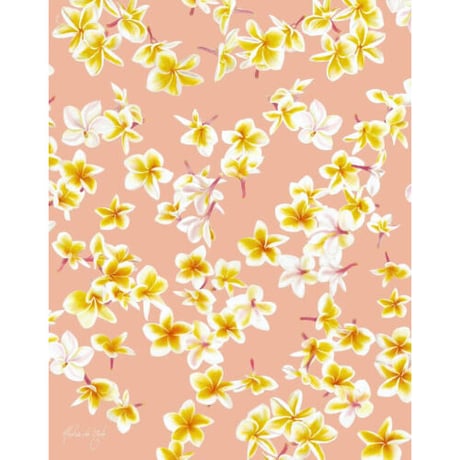 ALOHA DE MELE by JT OJERIO 『MELIA FALLS 1』《Matted Prints》額付き：Lサイズ