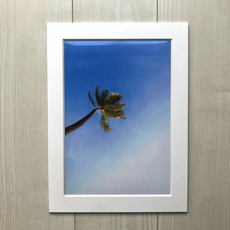 ISLANDER/アイランダーPhotography写真 『Living In The Dream 』A4サイズ