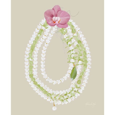 CATEGORY Aloha De MELE / アロハデメレ | ISLANDER