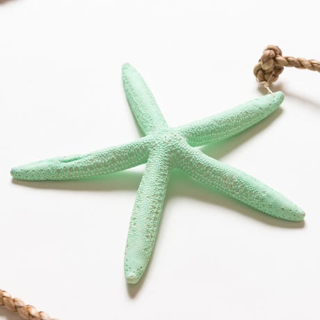 SoHa LIVING/Blue Starfish Garland Strand/スターフィッシュ壁掛けオーナメント