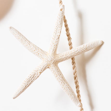 SoHa LIVING/White Star Garland /貝殻壁掛けオーナメント
