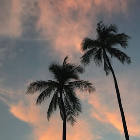 ISLANDER/アイランダーPhotography写真 『Breeze 』2Lサイズ