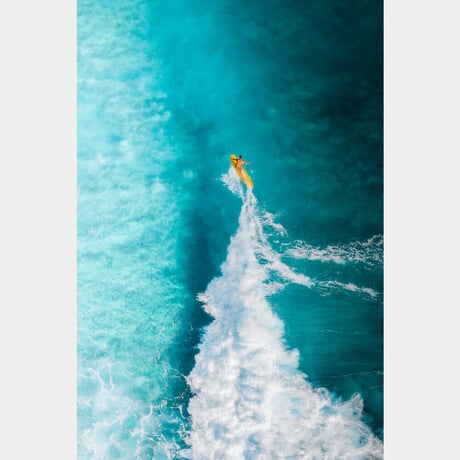 Jess Loiterton × ISLANDER Hawaiian Metal Print Art『To The Nose』