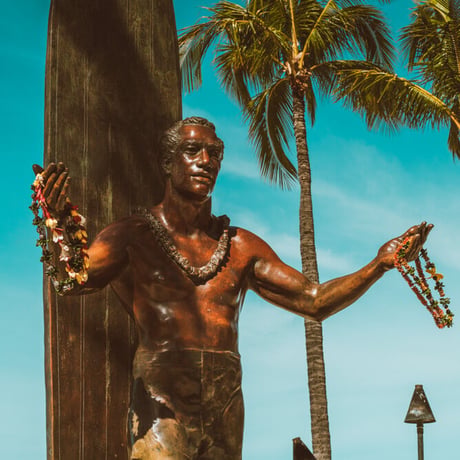 Jess Loiterton × ISLANDER Hawaiian Metal Print Art『Duke』